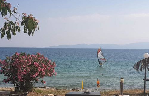 Kariani Beach Studio - Foto 9