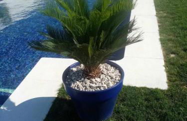 Las Casitas de la Barrosa con jardín y piscina - Foto 30