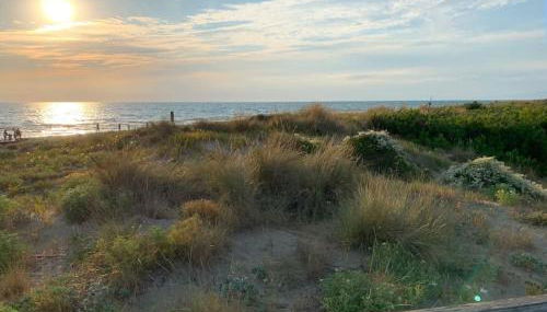Dünenresidenz Regina Elena Ferienwohnung am Strand - Foto 2