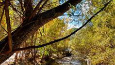 Saluda Alta - Foto 5