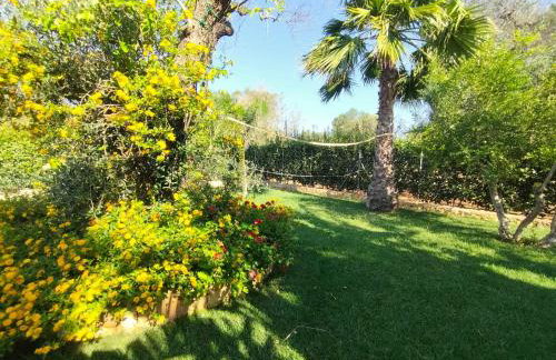 All'Ombra del Gelso, trullo con piscina - Foto 17