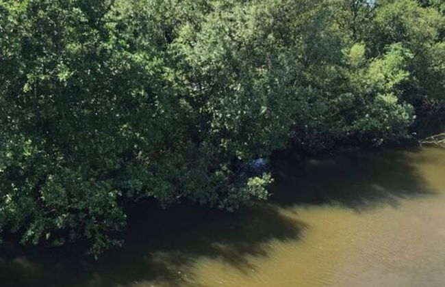 Waterkant 48.2.s Comfortable Holiday Residence - Foto 17