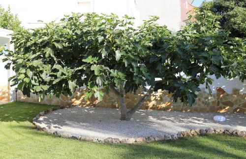 A casa di Sofia - Foto 11