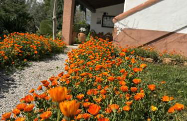 Complejo Rural Ibipozo - Foto 12