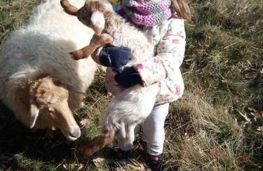 Casa Rural A Ritmo De Burro - Foto 37