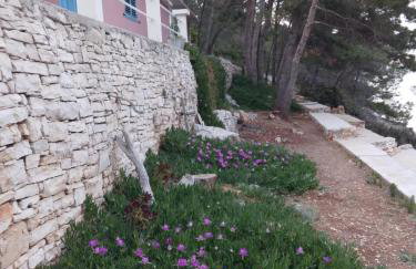 Modern Robinson Veli Bare - Photo 10