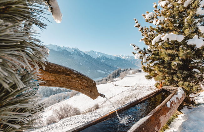 Tauernblick - Foto 32