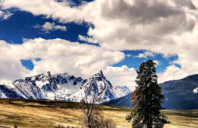 Hannon House - Photo 62