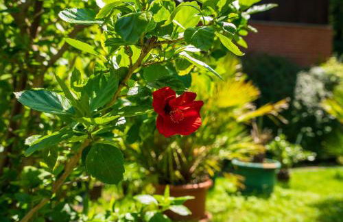 Ferienwohnungen Behling am Schufutsberg - Foto 53