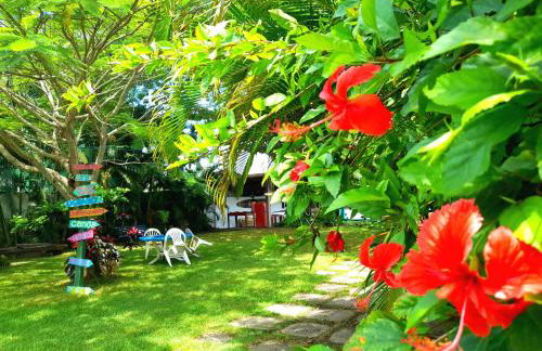 De Boa na Lagoa Cabo Frio, Praias Peró, Conchas e Ilha do Japonês - Foto 61
