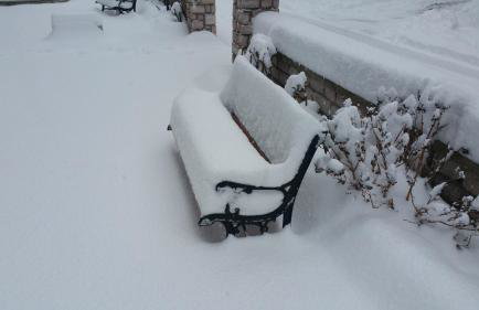 Domus Inn - Photo 45