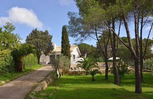 Nerodavola by PosarelliVillas - Foto 9