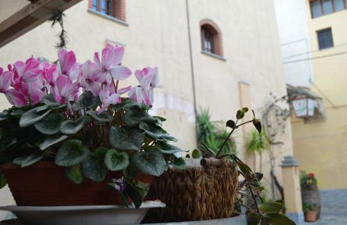 Agriturismo del Pigato - Bio Vio - Foto 11