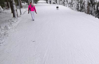 Ellis-Ferienwohnung-Erzgebirge - Foto 11