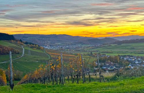 Ferienhaus Sonnentälchen Weinberg - Photo 17