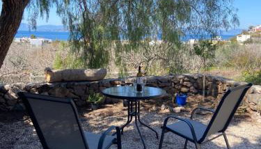 Pepper Tree - Foto 4