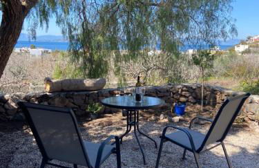 Pepper Tree - Foto 4