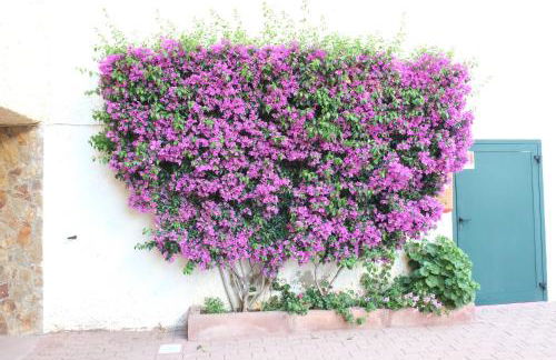 Blu Baita - Foto 124