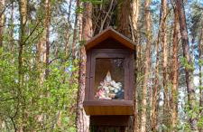 Leśniczówka Zielone Zakole - Foto 67