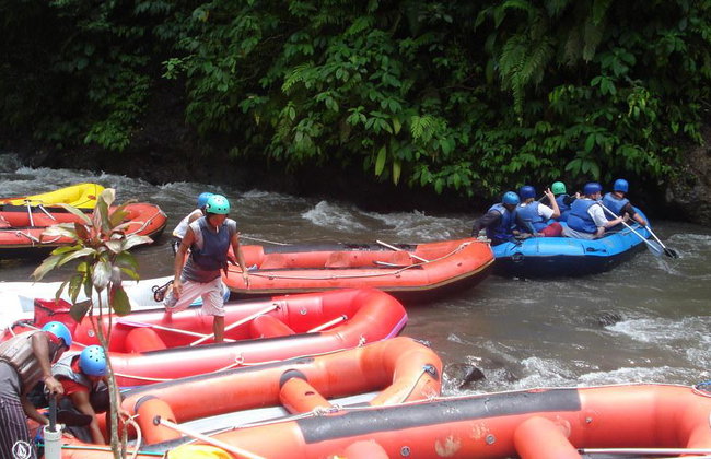 Rafting Adventure and Monkey Forest - Full-Day Tour with Lunch - Photo 6