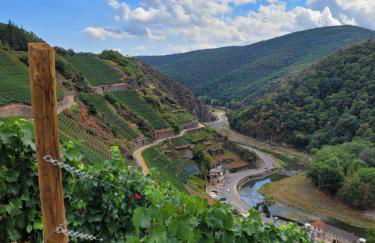 Ferienwohnung Grüner Horizont - Foto 20