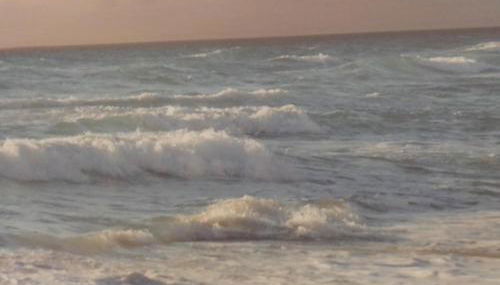 Sailing City Oak Line - Photo 4