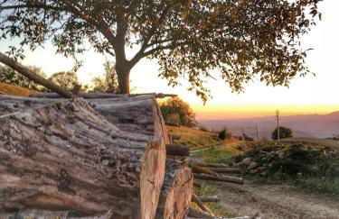 LA TANA DEL PICCHIO - Photo 32