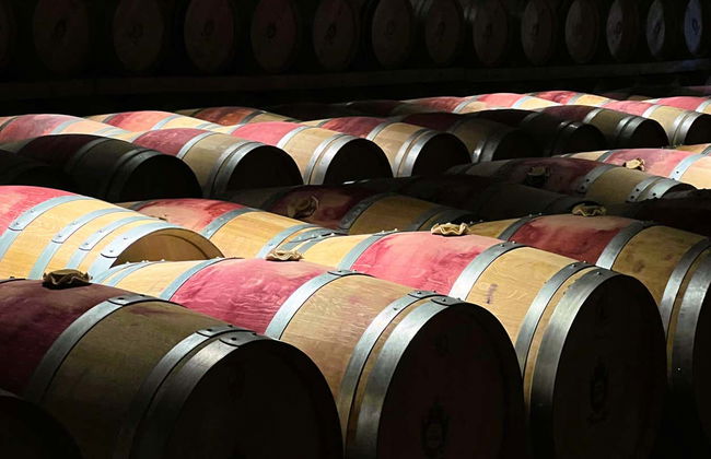 Medoc Wine Tour - Photo 6