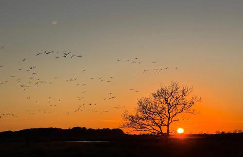 Sonnenblumenhaus - Foto 29