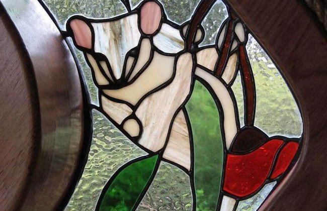 The Boomerangs - Foto 11