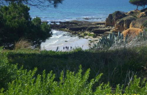 Casa da Praia - Foto 38