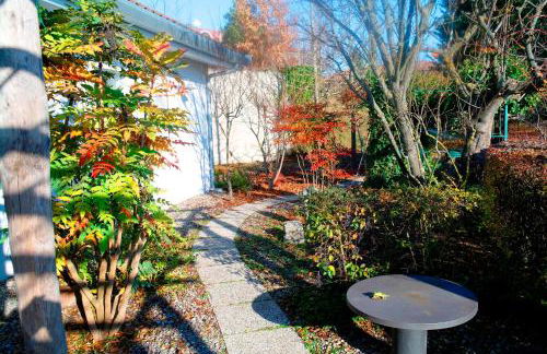 casa banana - Foto 16