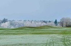 Appartement Crows Nest - Foto 18