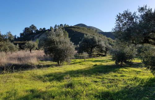 Casa Das Oliveiras - Foto 2