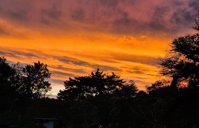 Glampling Nubes de Monteverde - Foto 78