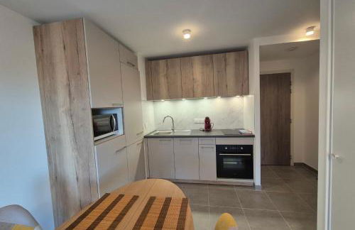 NEW ! Altitude 1327 Residence at the foot of the slopes - Foto 16