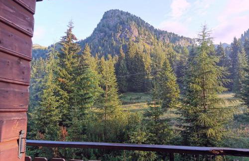 Casina Alpina sugli impianti Passo S Pellegrino - Photo 5