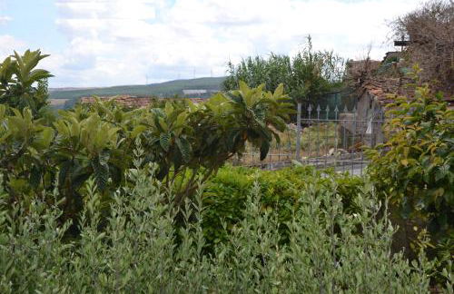 Passiflora House - Basilicata - Photo 26