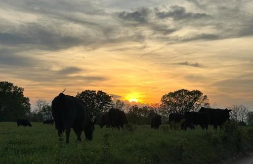 Rivers Edge - On the River, Breathtaking views! - Foto 78