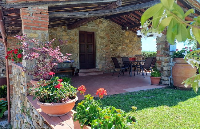 Farmhouse in Tuscany With Olive Grove Views - Photo 18