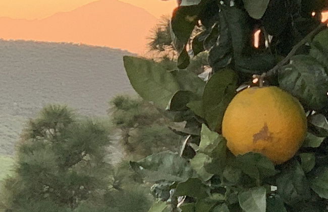 Casa del Sol - Foto 27