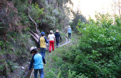Casa da Cerejinha - Foto 26