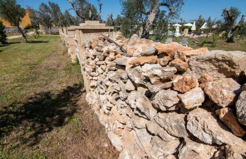 Tenuta San Lorenzo - Foto 149