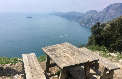 La Libraia - Foto 20