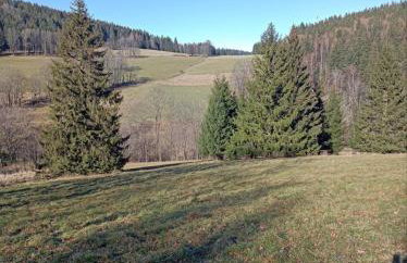 Dom wakacyjny - Nigdy w życiu - Foto 17