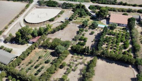 Agriturismo Silis - Foto 2