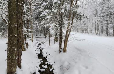 Ski in & out Spruce Glen Townhomes on Great Eastern Trail - Foto 48