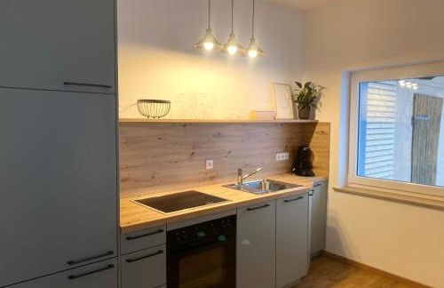 Ferienwohnungen Albhof Sonnenbühl - Foto 39