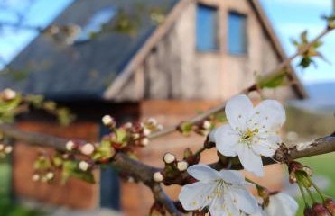 Przewietrzona Głowa - Foto 29