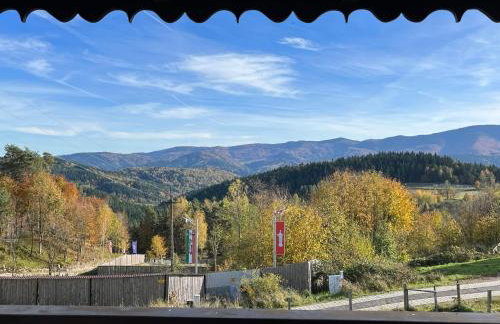 Kefasówka - Foto 33